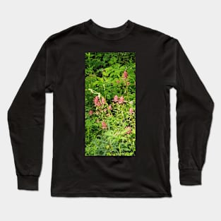 Indian Paintbrush Long Sleeve T-Shirt